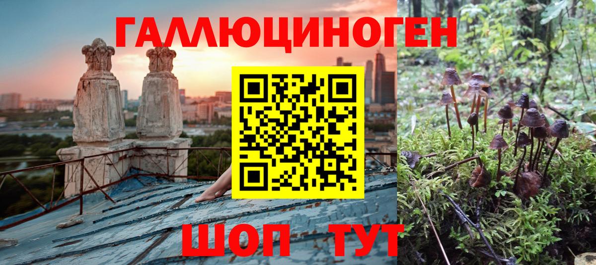 Галлюциногенные грибы MAGIC MUSHROOMS Уварово