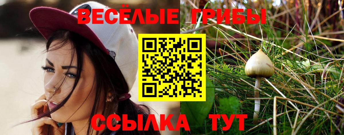 Галлюциногенные грибы GOLDEN TEACHER  Вход с VPN  Уварово 